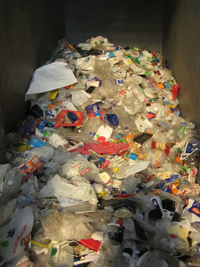 Scientists Engineer Bacteria to Transform Plastic Waste Into Life-Saving Medicine