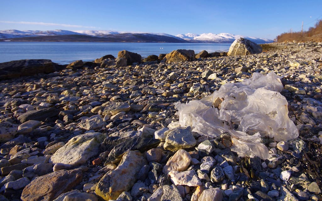The Hidden Threat in Your Glass Bottle: How Caps Are Contaminating Drinks with Microplastics