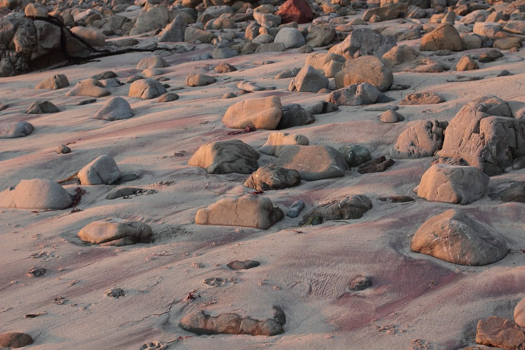 The $5.3 Million Martian: Largest Mars Rock on Earth Sells for Record-Breaking Price