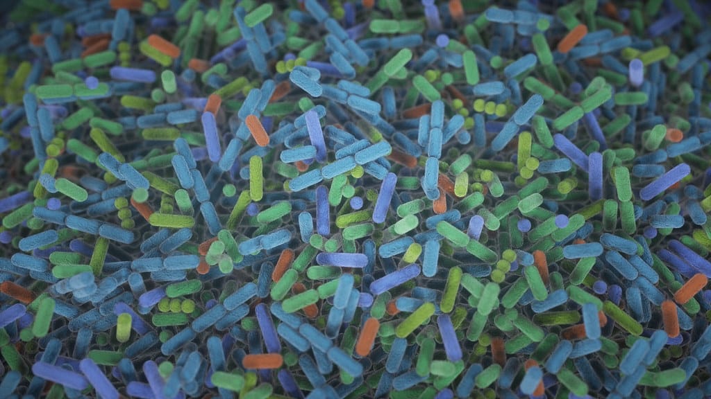 Your Gut Bacteria May Be Fighting 'Forever Chemicals' for You