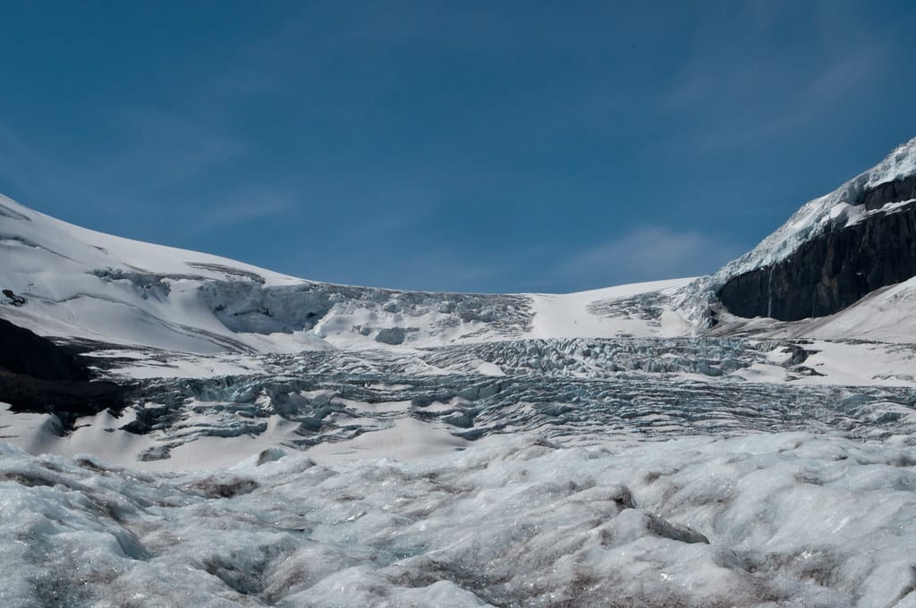 Arctic Glaciers Face 'Terminal' Decline As Microbes Accelerate Ice Melt