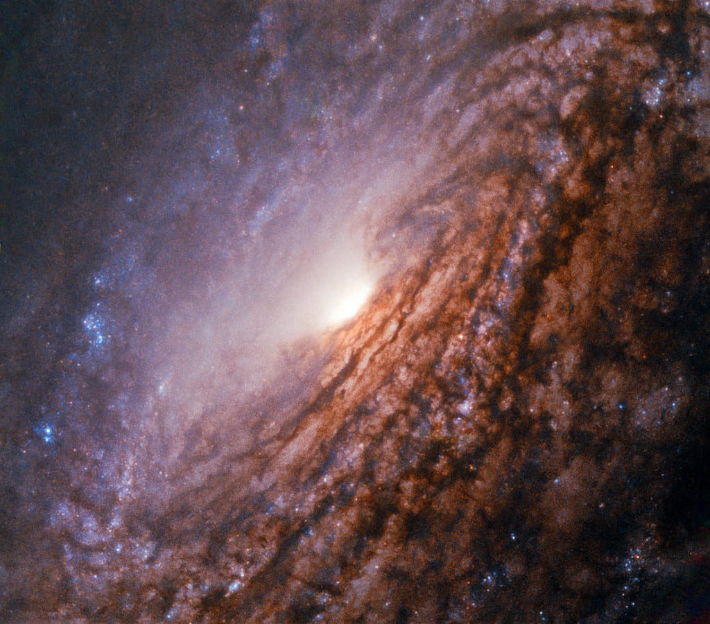 Cosmic Mystery Solved: Ancient 'Little Red Dots' May Be Black Hole-Powered Stars from the Universe's Infancy
