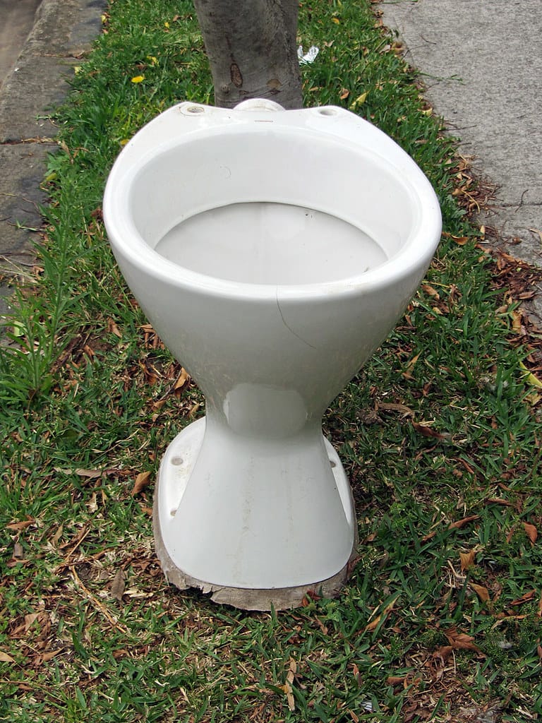 From Sewage to Soil Gold: How Human Waste Could Revolutionize Global Agriculture