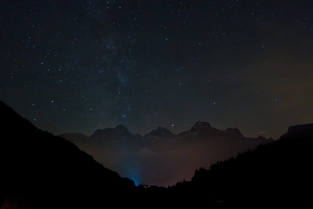 When Night Becomes Day: How Artificial Light is Rewiring Bird Behavior Around the Globe