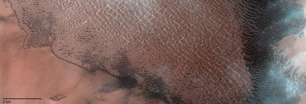 When Truth Isn't Enough: How Strategic Deception Could Actually Boost Public Trust in Science