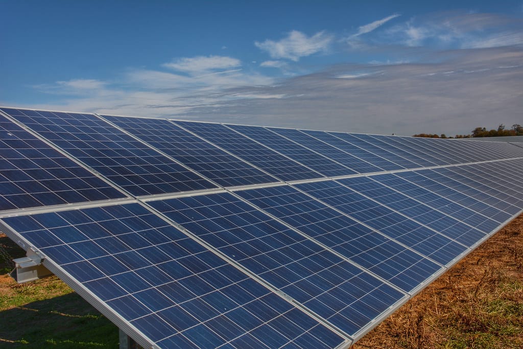 From Kitchen Waste to Clean Energy: Scientists Create Revolutionary Solar Panel Coating from Red Onion Skins