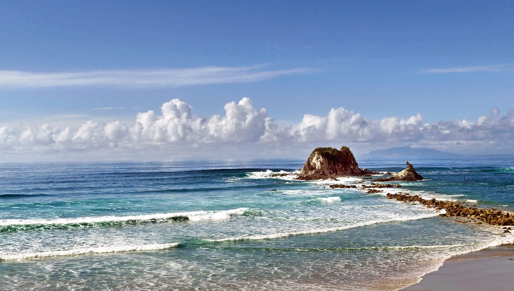 Historic Ocean Treaty Finally Crosses the Finish Line, Offering Hope for Marine Conservation