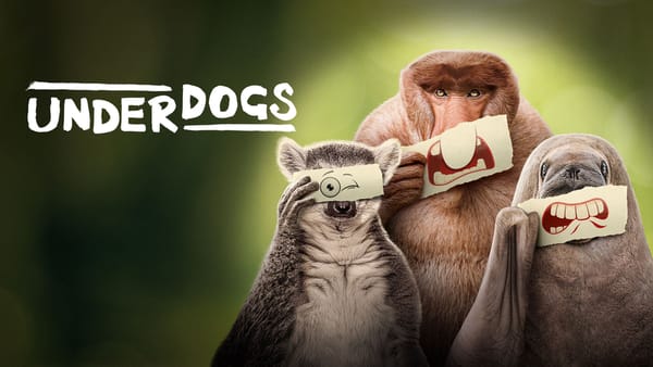Underdogs: The Nature Documentary That's Breaking All the Rules