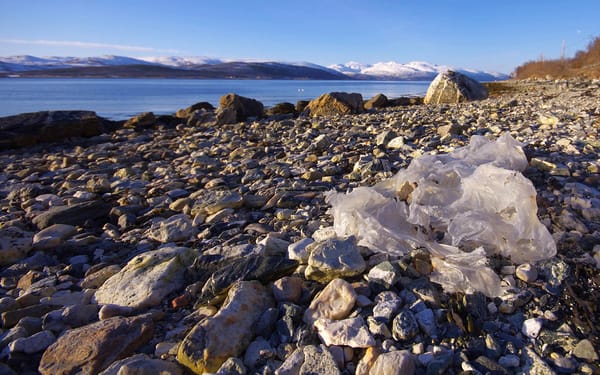 The Hidden Threat in Your Glass Bottle: How Caps Are Contaminating Drinks with Microplastics