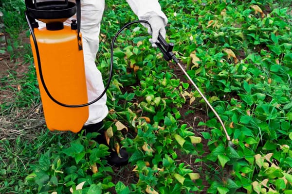 Weedkiller Ingredient Widely Used in US Damages Organs and Gut Bacteria, New Research Reveals
