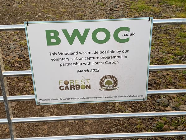 Norway's Bold Gamble: Becoming Europe's Carbon Burial Ground to Save the Climate