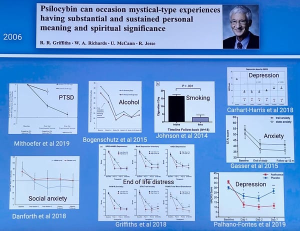 Psilocybin Shows Promise as Anti-Aging Treatment in Groundbreaking Mouse Study
