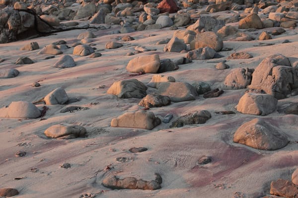 The $5.3 Million Martian: Largest Mars Rock on Earth Sells for Record-Breaking Price