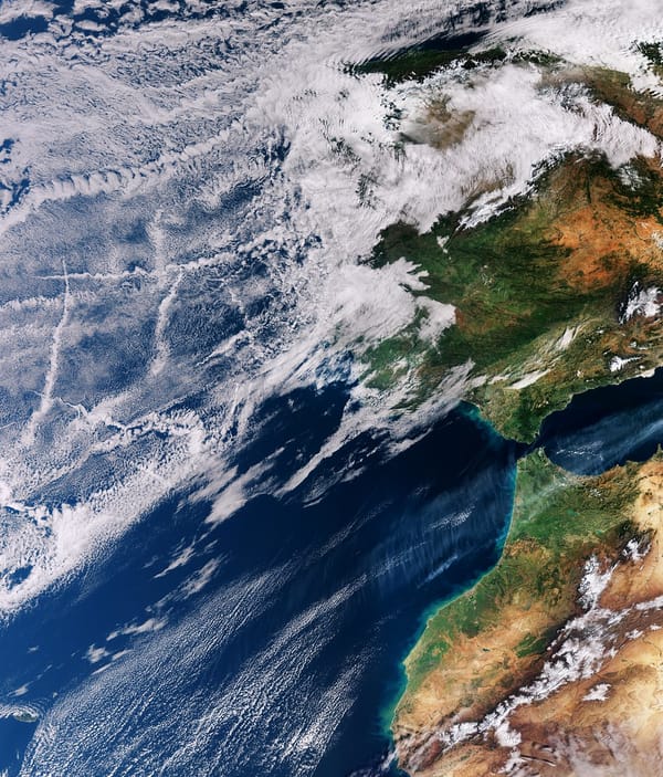 The Ocean's Hidden Network: How Internet Cables Are Becoming Climate Guardians