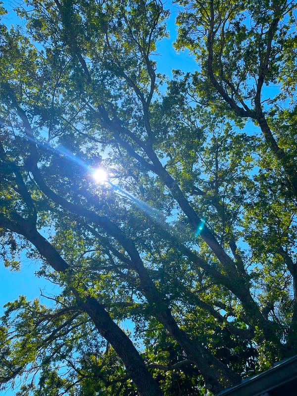 Scientists Reveal Global Solar Sweet Spots That Could Accelerate Climate Action