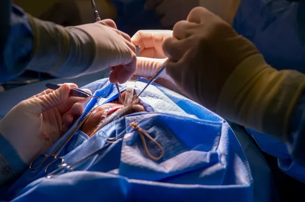 Breakthrough in Xenotransplantation: First Pig Lung Successfully Transplanted Into Human Patient