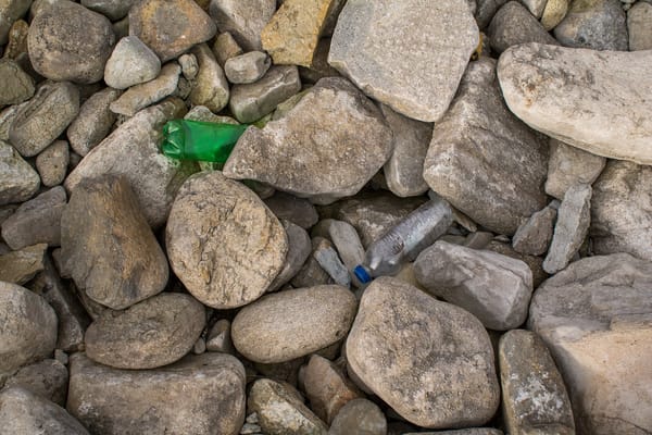 The $1.5 Trillion Plastics Crisis: How Microplastics Are Infiltrating Every Stage of Human Life