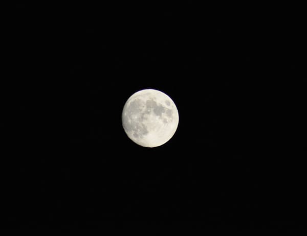 Earth Has a New Cosmic Companion: Scientists Discover Hidden Quasi-Moon in Our Backyard