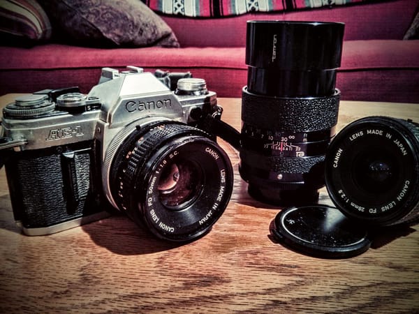 Revolutionary Hair-Thin Lenses Could Make Phone Cameras Impossibly Small
